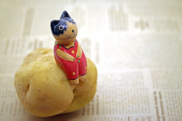 FP2級以上をめざすなら通信講座を視野に入れてもいいかも